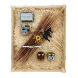 Eguzkilore Itsasoa (Mar) 2