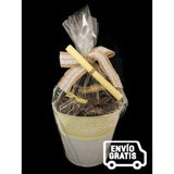 Eguzkilore Lurra (Tierra) 1