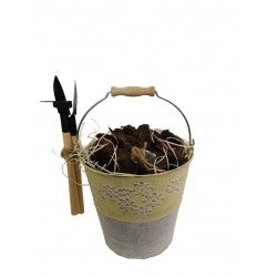 Eguzkilore No Me Decido II 2