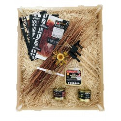 Eguzkilore Gazia (Salado) 2