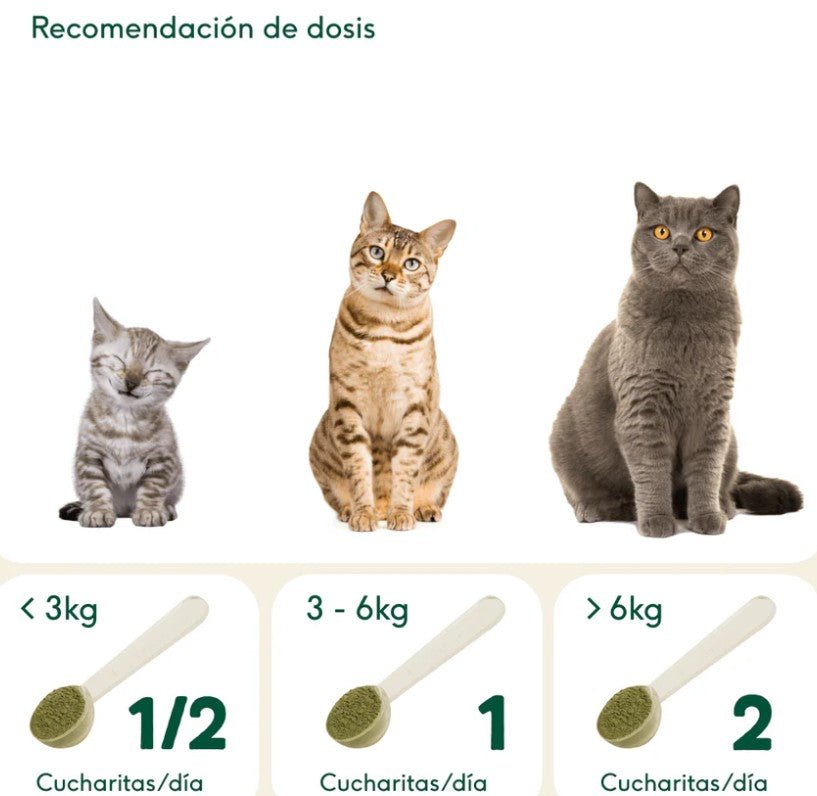 Espirulina orgánica - Dendago