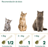 Espirulina orgánica - Dendago