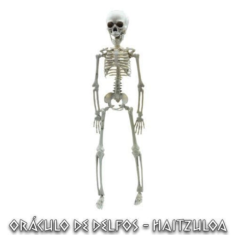 Esqueleto 40 cms - Dendago