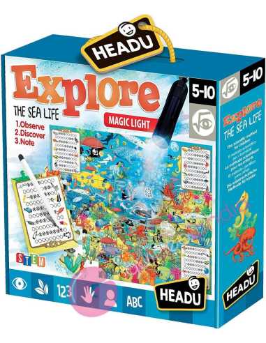Explore the Sea Life - Headu - Dendago