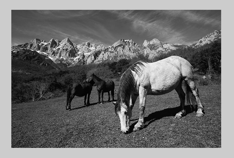Fotografía artística en blanco y negro, paisaje de Valle de Liébana en Cantabria. - Dendago