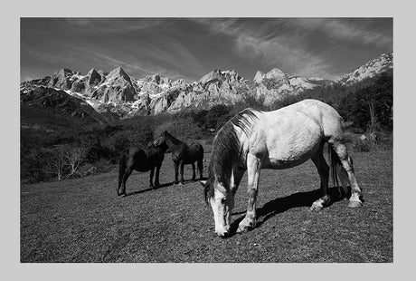 Fotografía artística en blanco y negro, paisaje de Valle de Liébana en Cantabria. - Dendago