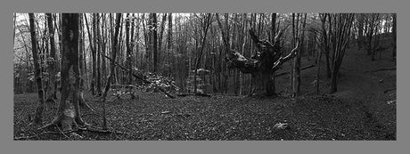 Fotografía Pais Vasco Artikutza, Nafarroa. - Dendago