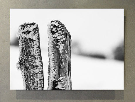 Fotografía Pais Vasco Bianditz, Oiartzun Gipuzkoa. - Dendago