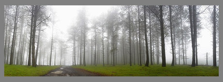 Fotografía Pais Vasco Elurretxe, Oiartzun Gipuzkoa. - Dendago