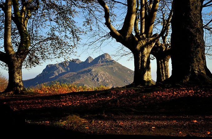 Fotografía País Vasco, Oianleku Oiartzun Gipuzkoa. - Dendago
