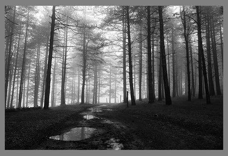 Fotografía País Vasco, Oiartzun Gipuzkoa - Dendago