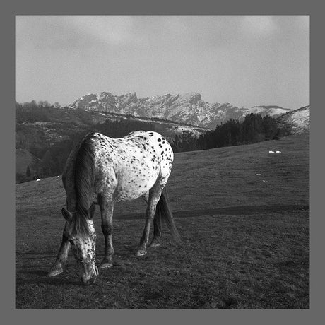 Fotografía Pais Vasco, Oiartzun Gipuzkoa. - Dendago