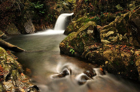 Fotografía País Vasco, Oiartzun, Gipuzkoa. - Dendago