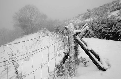 Fotografía País Vasco, Oiartzun Gipuzkoa. - Dendago
