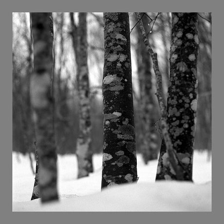 Fotografía País Vasco Sierra de Aralar, Nafarroa. - Dendago