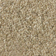 Grava de Color Crema Aneste 104 - Dendago