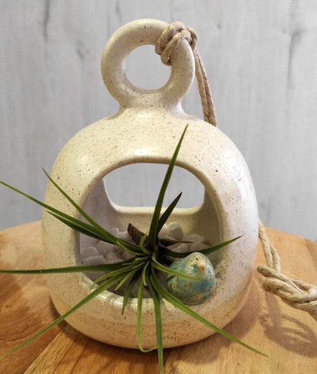 Maceta para planta aérea - Colección TXORIAK - Dendago