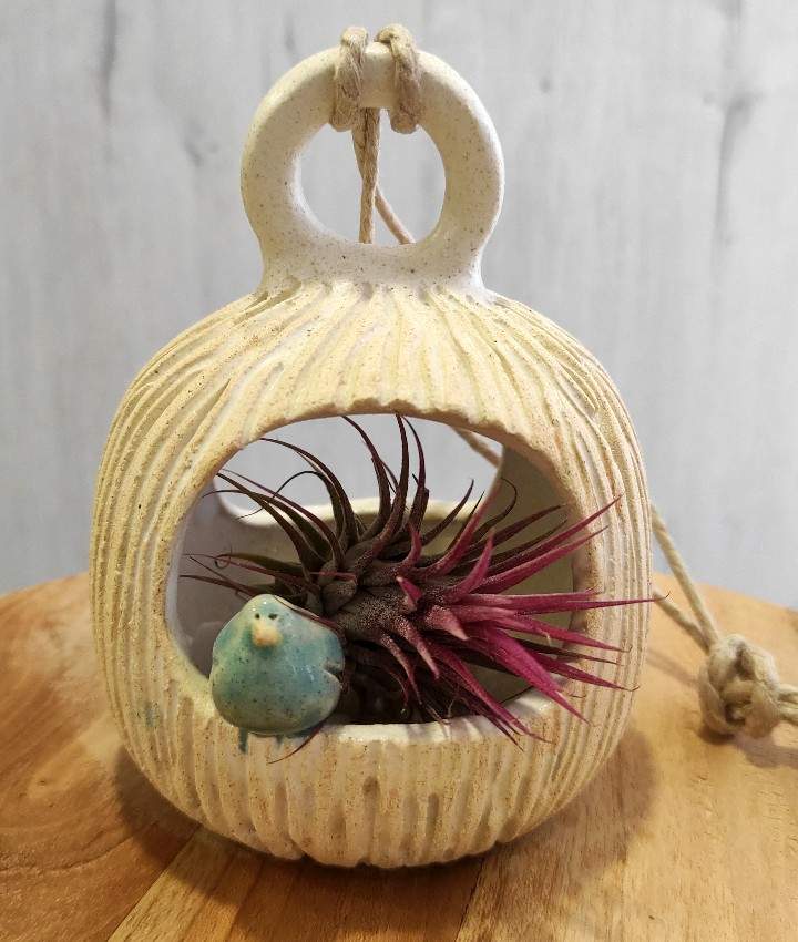 Maceta planta aérea - Colección TXORIAK - Dendago