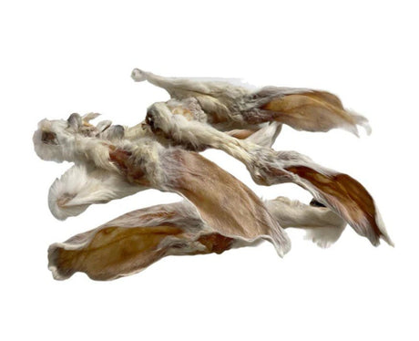 Orejas de conejo con pelo - Dendago