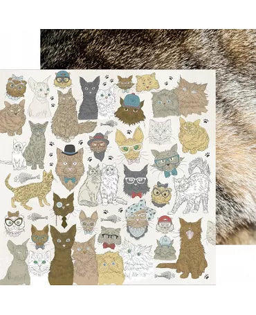 PAPEL SCRAP 30x30 Kaisercraft CATS 1