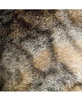 PAPEL SCRAP 30x30 Kaisercraft CATS 2