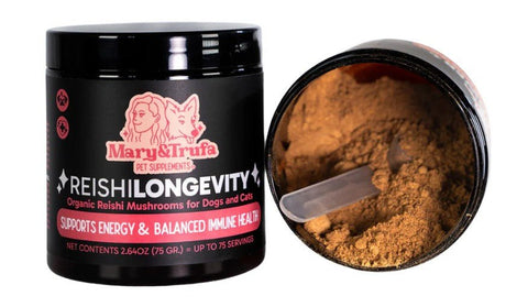 Reishi Longevity - Dendago