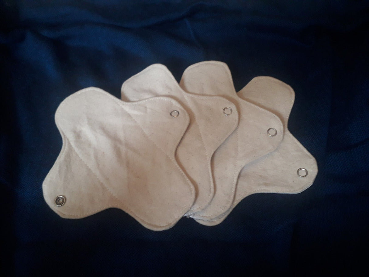 Salbaslip garbigarria - Dendago