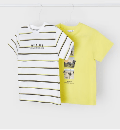 Set 2 camisetas manga corta niño - Dendago