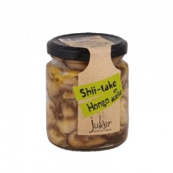 Shiitake Setas en aceite oliva virgen 300gr 1