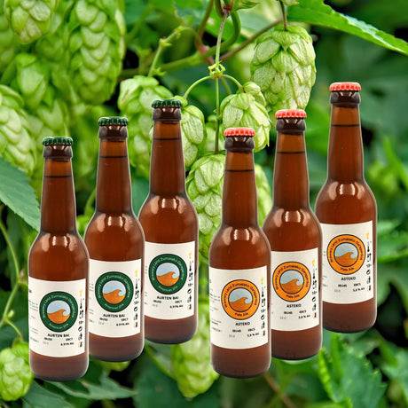 SIX PACK LUPULO >> 3 IPA - s + 3 APA - Dendago