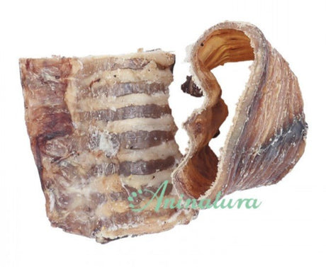 Tráqueas de vacuno 5 - 6 cm - Dendago