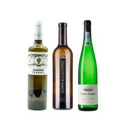 Txakoli Pack II 2