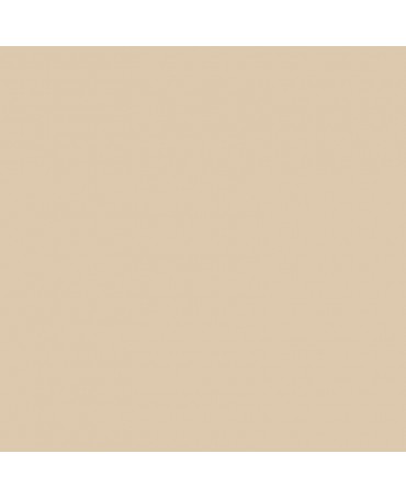 VINILO CRICUT PERMANENTE Brillante Pergamino 30.5x122cm 1