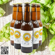 ZERO BOST (Pale Ale SIN ALCOHOL) >> Lote de 6 botellas de 33 cl - Dendago