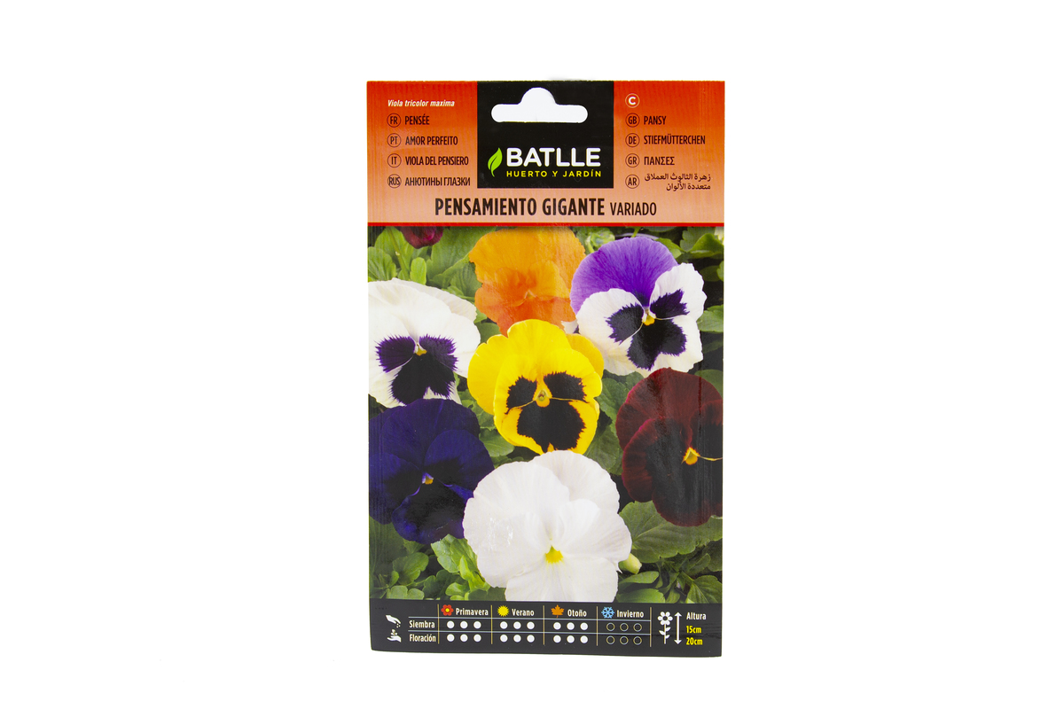 108_01_Pensamiento gigante variado