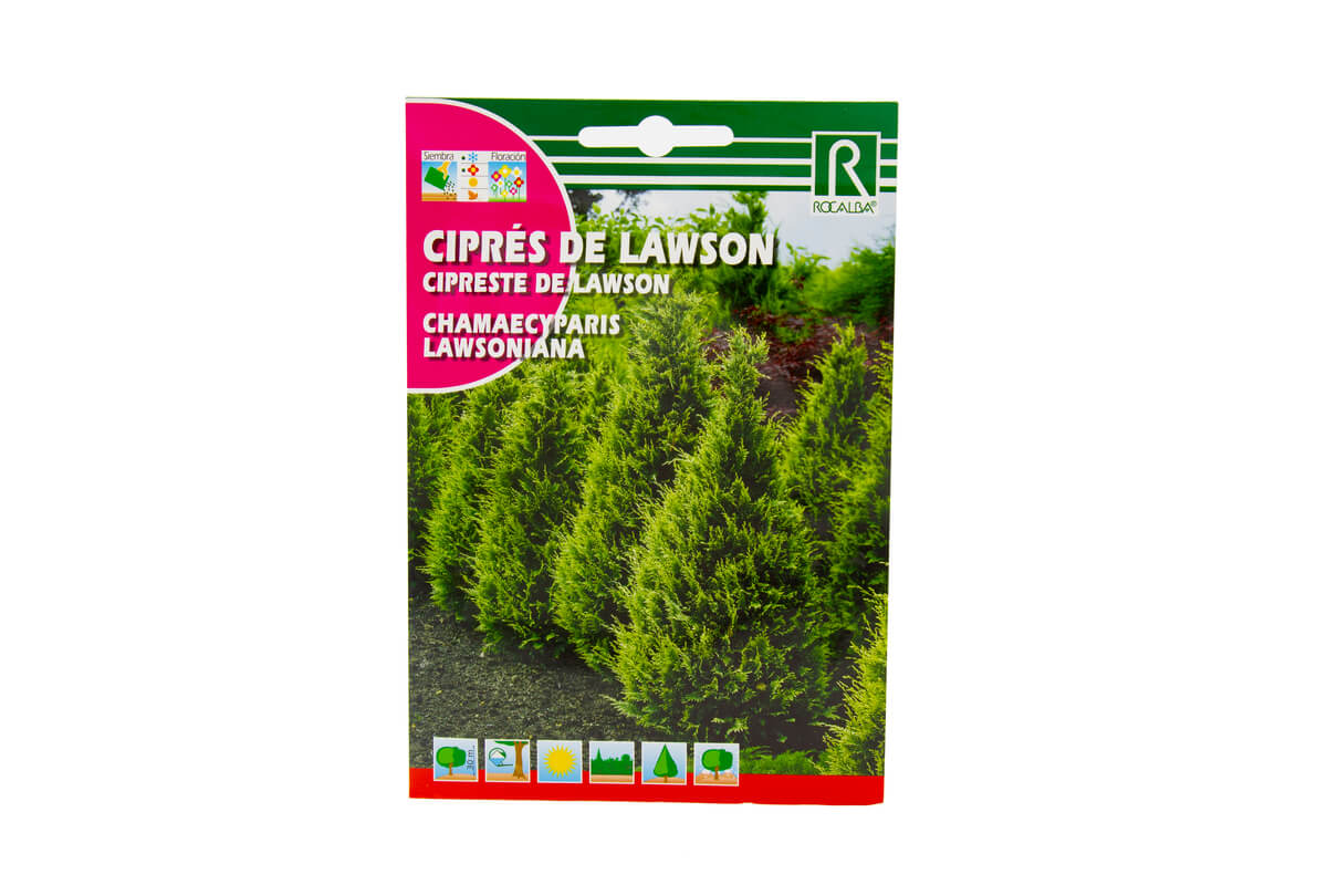 129_01_Cipres_de_Lawson