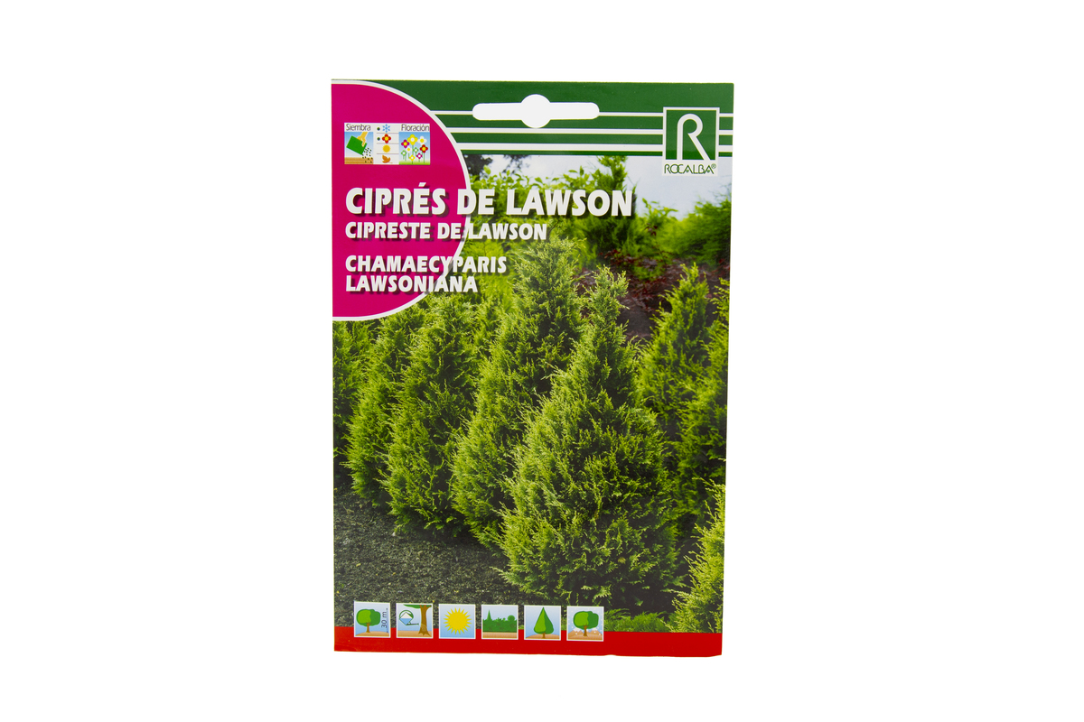 129_01_Cipres_de_Lawson