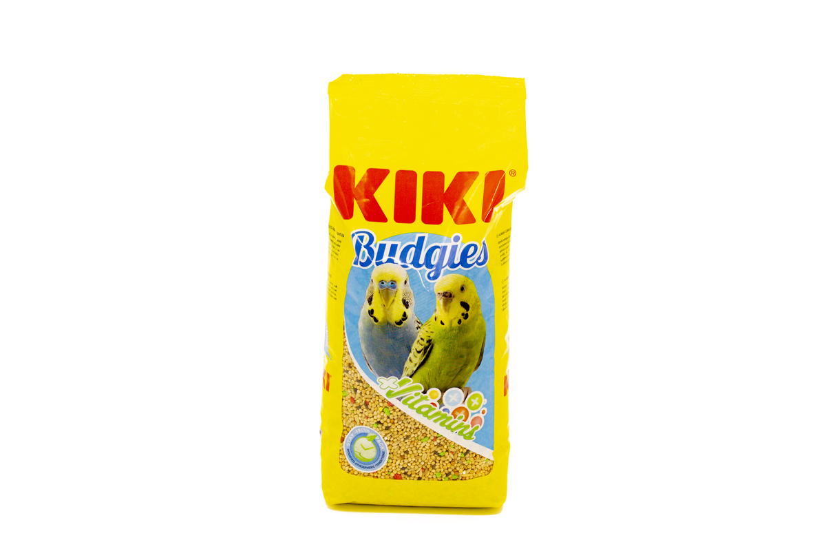 18_01_Kiki Budgies
