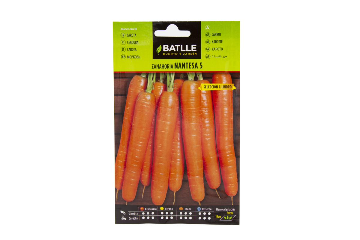 32_01_Zanahoria Nantesa 5