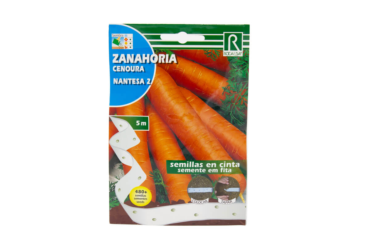 33_01_Zanahoria cenoura