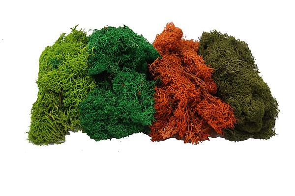 Musgo Islamond de colores surtidos Aneste 765