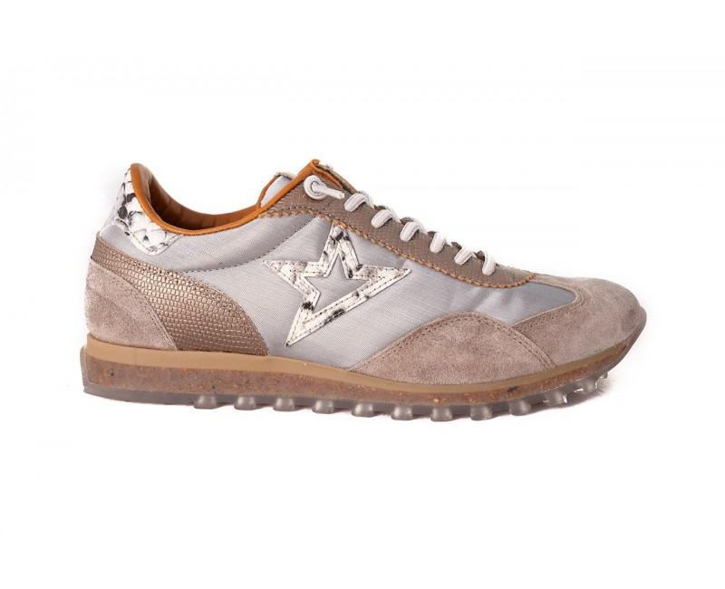 Cetti-1259