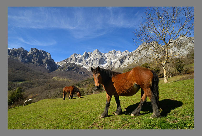 Fotografía artística en color, paisaje del Valle de Liébana en Cantabria, Picos de Europa.