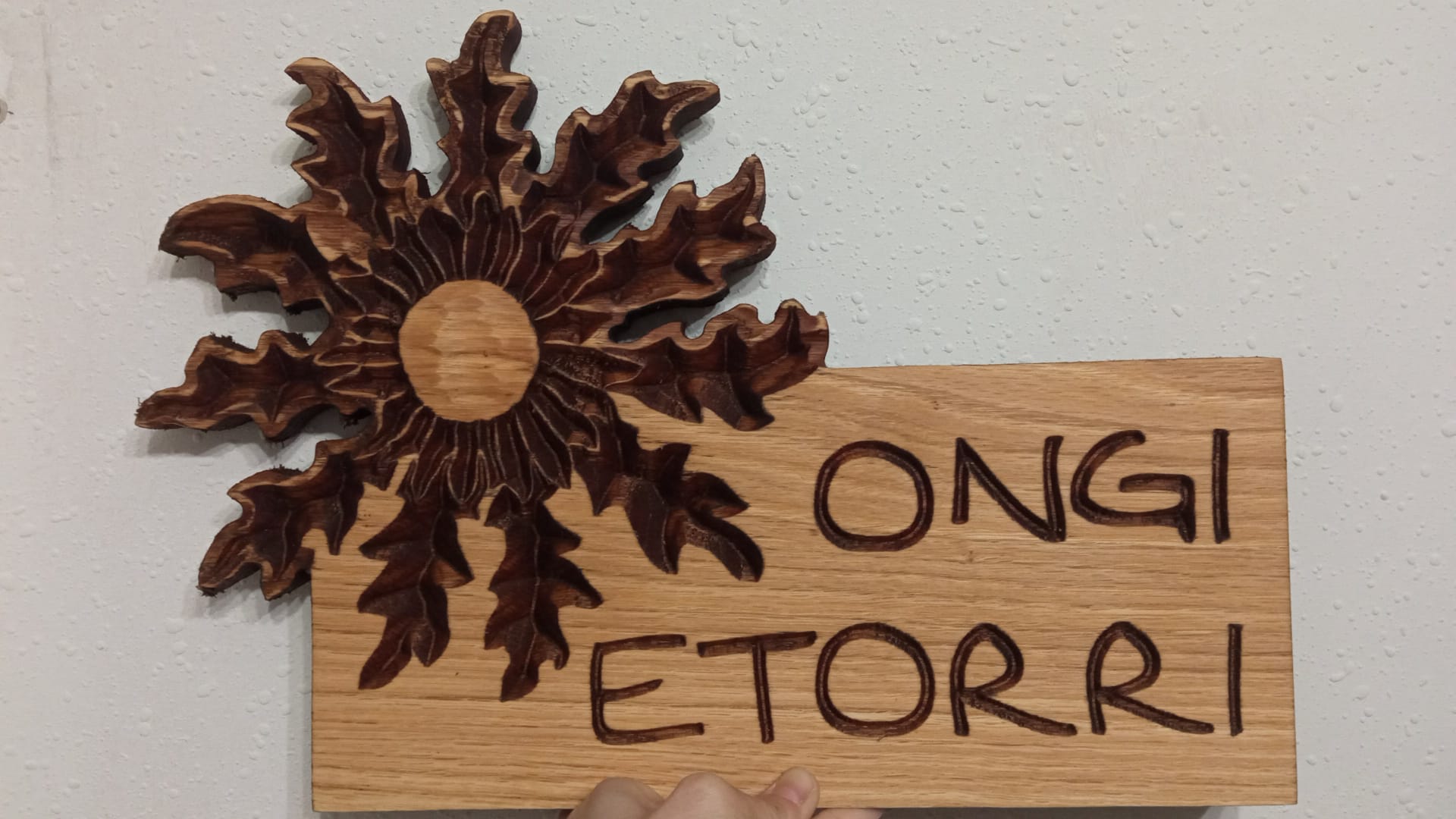 Eguzkilore ongi etorri