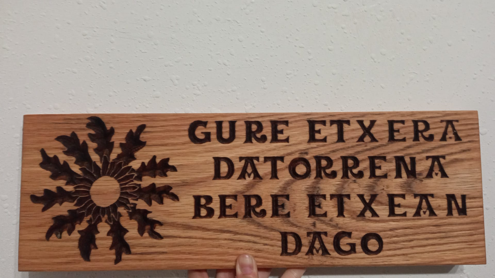 Eguzkilore gure etxea