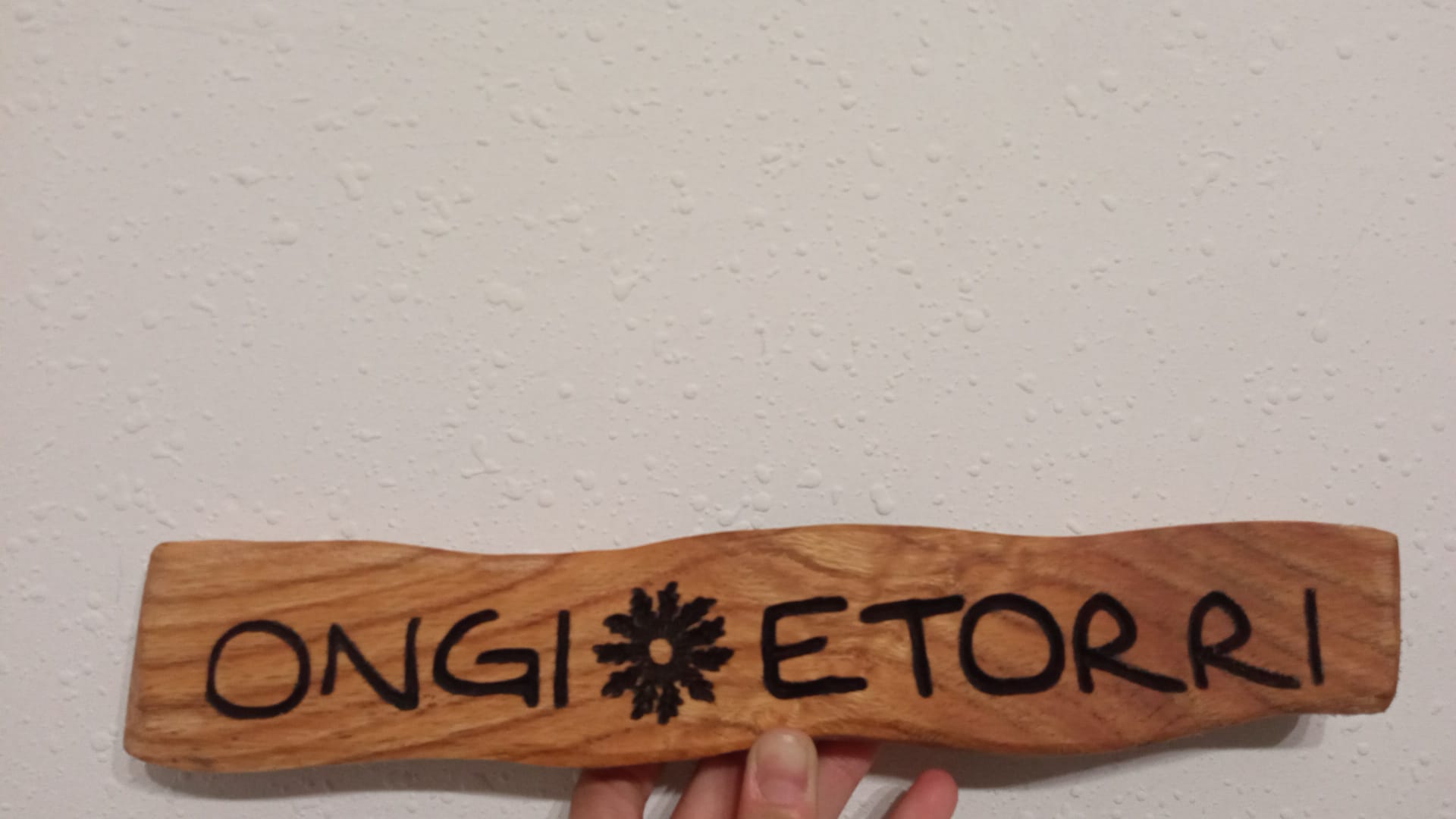 Ongi Etorri