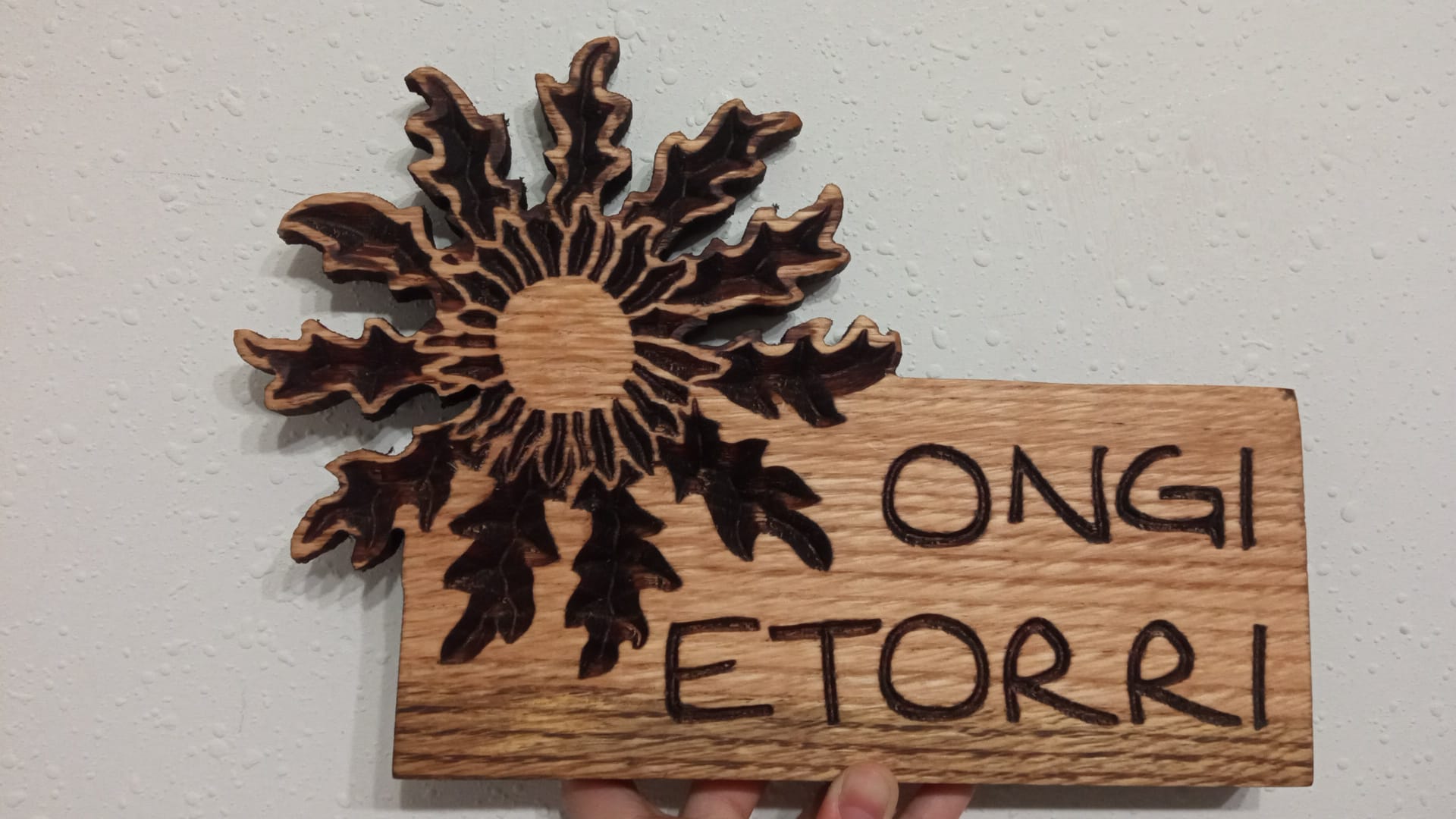 Eguzkilore ongi etorri txikia
