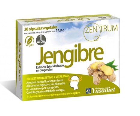 Ynsadiet - Jengibre Zentrum